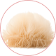 Lion's mane