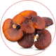 Reishi