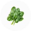 Spinach