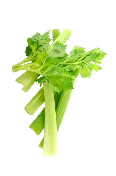 Celery