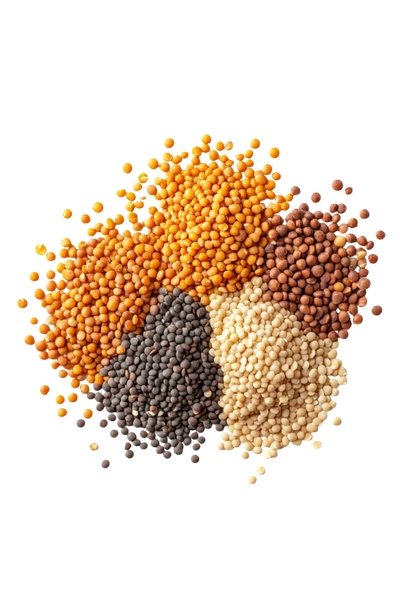 Proteins