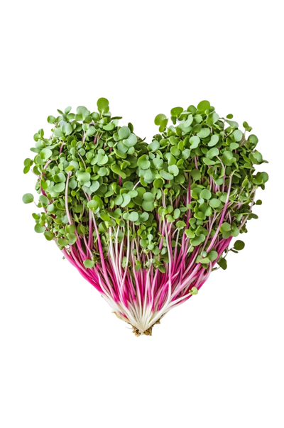 Functional vegetables