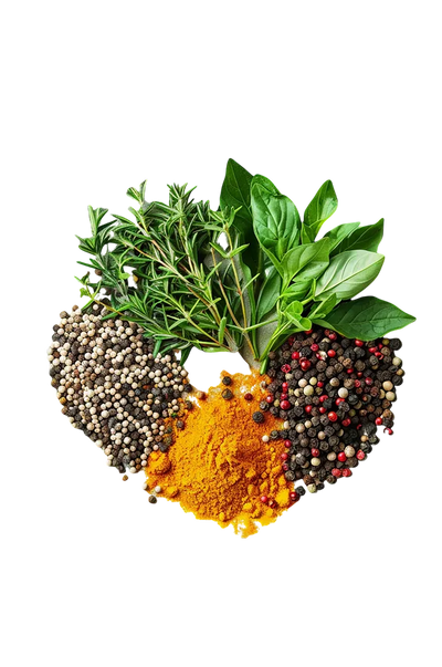 Medicinal and spicy herbs