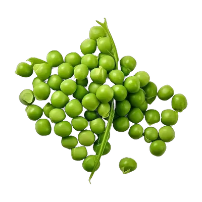 Pea proteins
